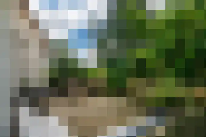 Kanaelwei Súd 7 Nij Beets thumbnail 69