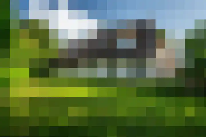 Kanaelwei Súd 7 Nij Beets thumbnail 7