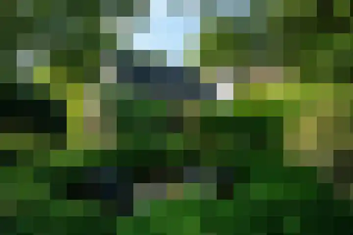 Kanaelwei Súd 7 Nij Beets thumbnail 70