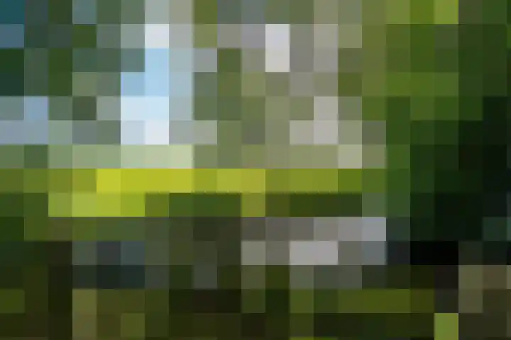 Kanaelwei Súd 7 Nij Beets thumbnail 72