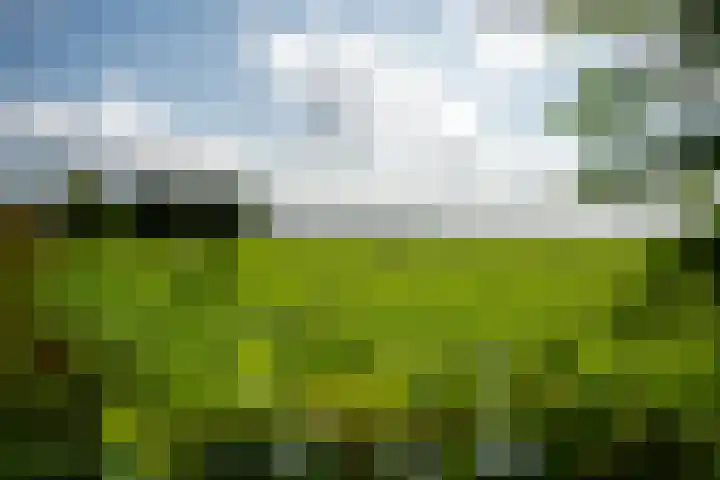 Kanaelwei Súd 7 Nij Beets thumbnail 73