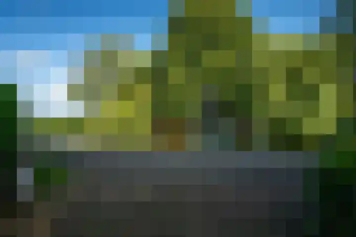 Kanaelwei Súd 7 Nij Beets thumbnail 75