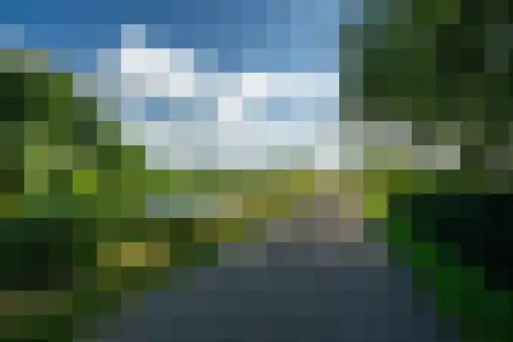 Kanaelwei Súd 7 Nij Beets thumbnail 77