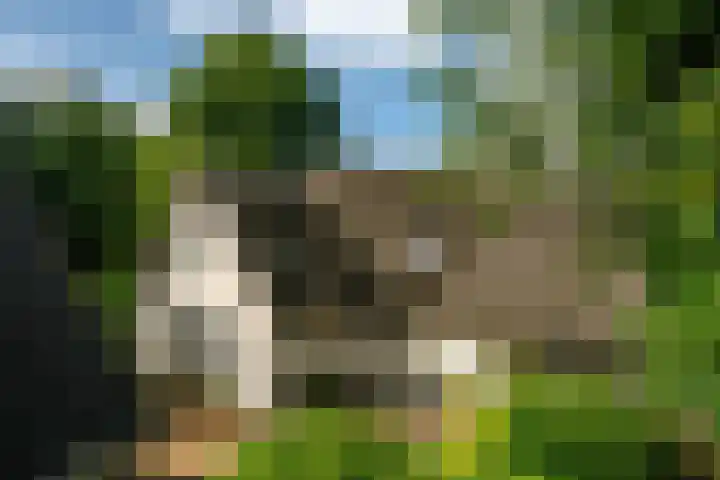 Kanaelwei Súd 7 Nij Beets thumbnail 8