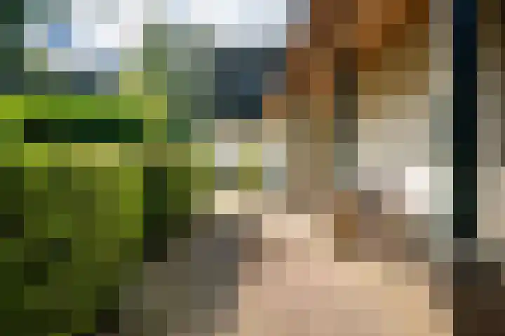 Kanaelwei Súd 7 Nij Beets thumbnail 9
