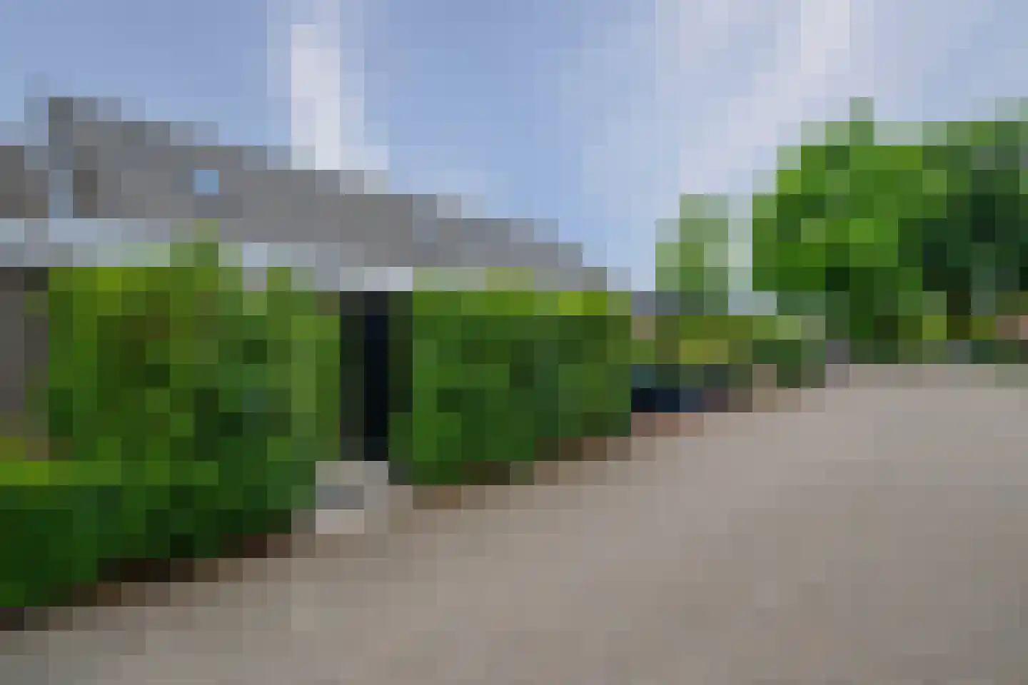 Kanakker 1 g Swolgen foto 2