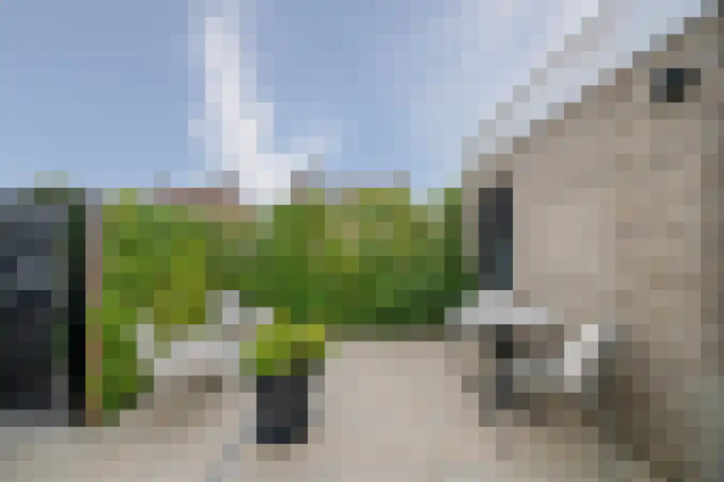 Kanakker 1 g Swolgen thumbnail 33