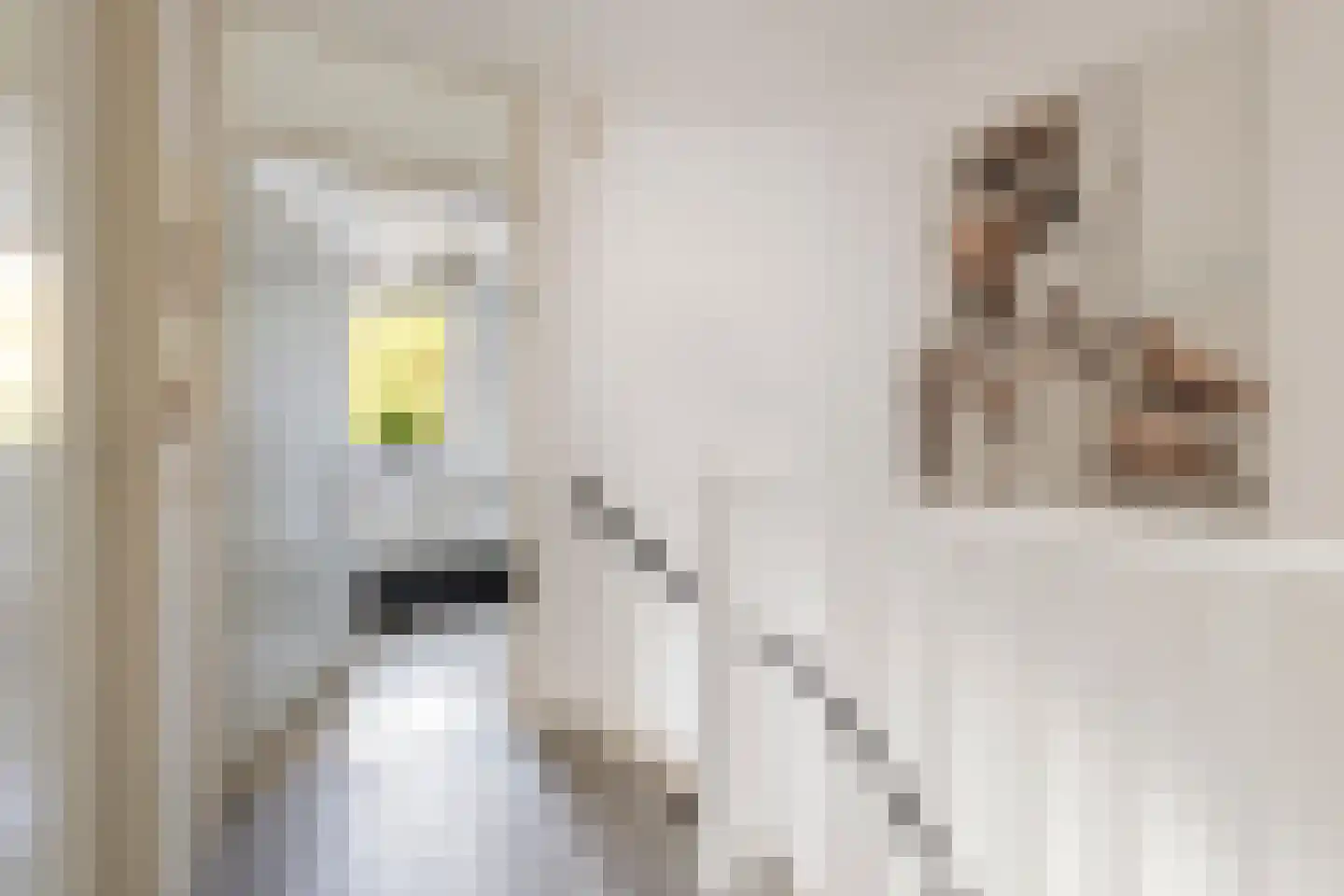 Kanakker 17 Swolgen thumbnail 17