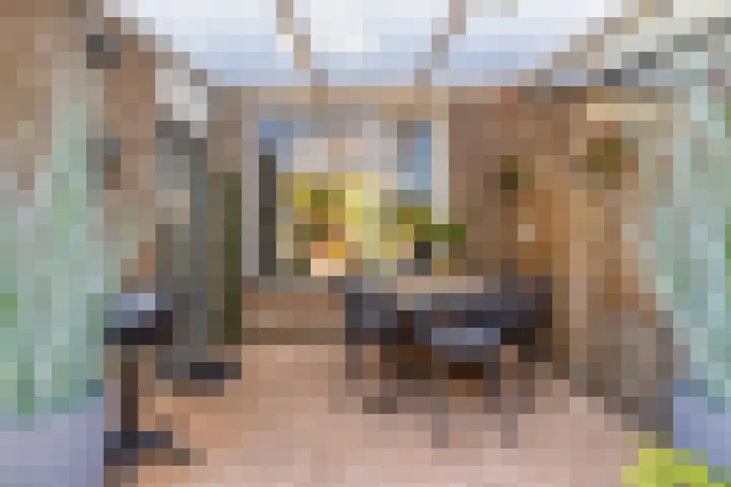 Kanakker 17 Swolgen thumbnail 28