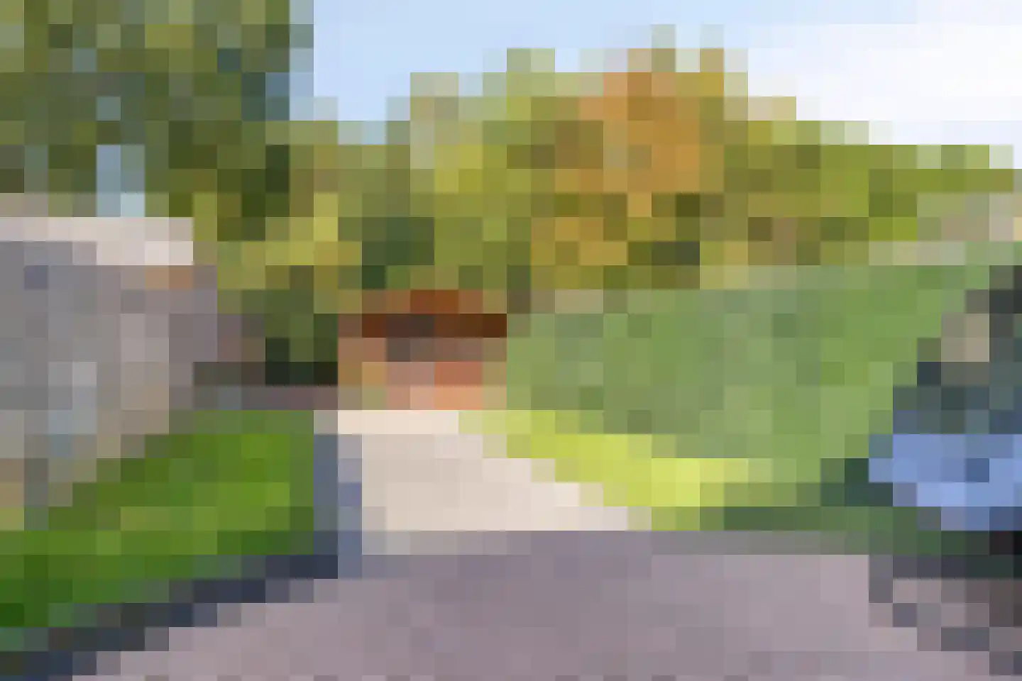 Kanakker 17 Swolgen thumbnail 31