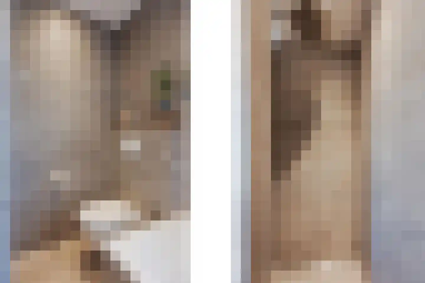 Kanakker 21 Swolgen thumbnail 34