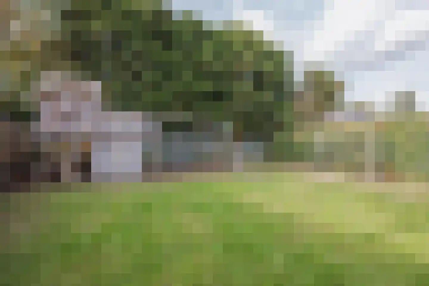 Kanakker 21 Swolgen thumbnail 4