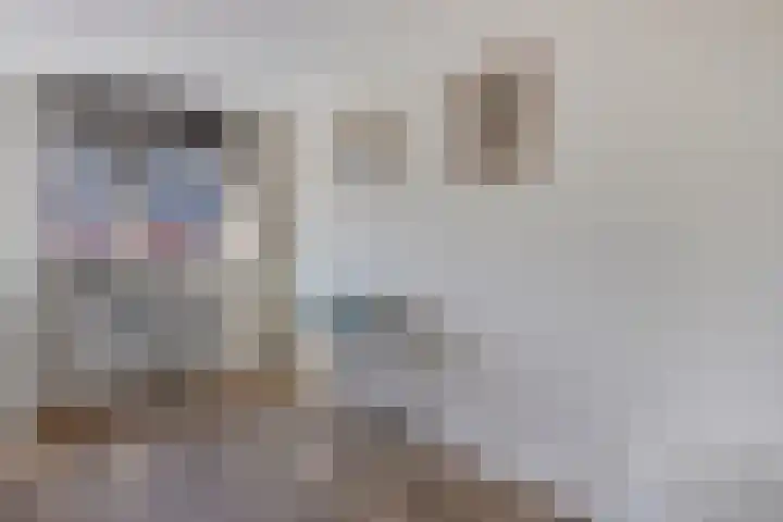 Kanarie 40 Boxmeer thumbnail 15