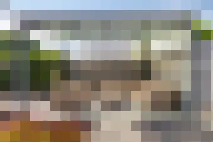 Kanarie 40 Boxmeer thumbnail 20