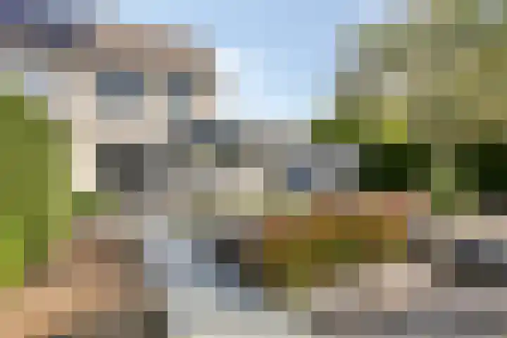 Kanarie 40 Boxmeer thumbnail 21