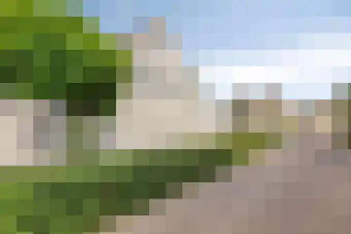 Kanarie 40 Boxmeer thumbnail 22