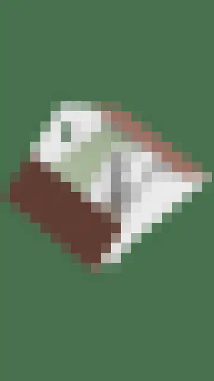 Kanarie 40 Boxmeer thumbnail 32