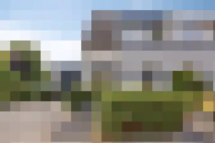 Kanarie 40 Boxmeer thumbnail 33