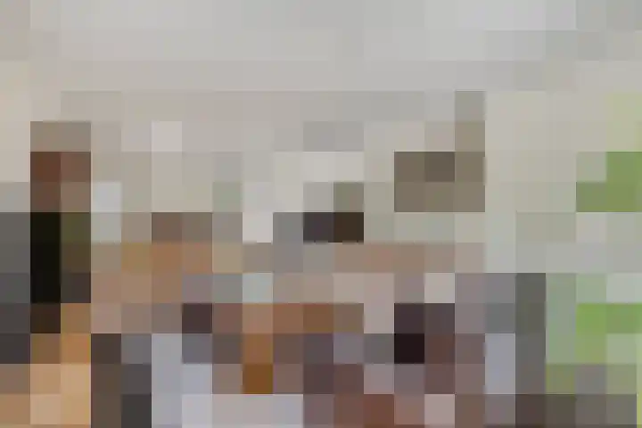 Kanarie 40 Boxmeer thumbnail 5