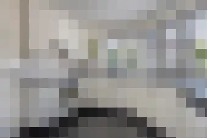 Kanarie 40 Boxmeer thumbnail 8