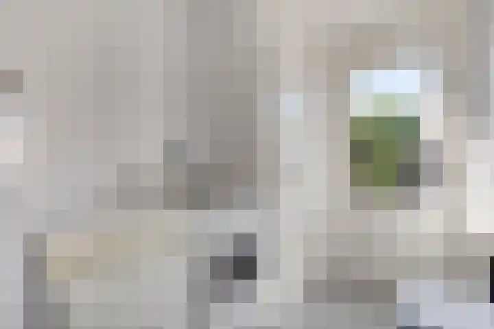 Kanarie 40 Boxmeer thumbnail 9