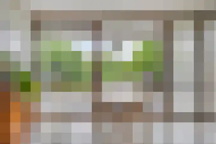 Kanarie 44 Boxmeer thumbnail 14