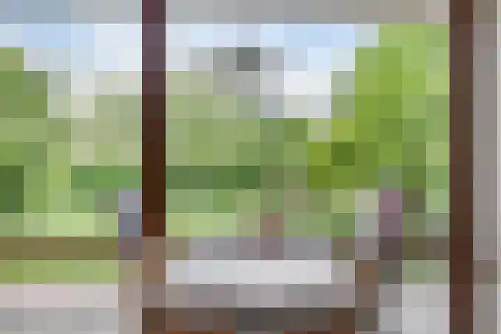 Kanarie 44 Boxmeer thumbnail 15