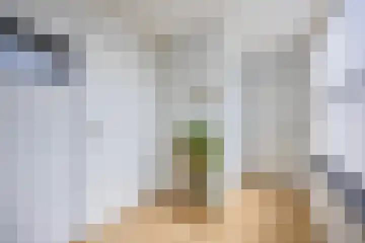 Kanarie 44 Boxmeer thumbnail 16