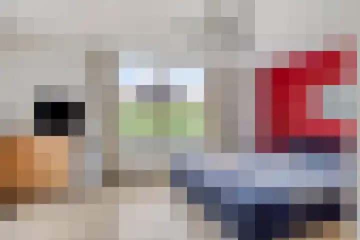 Kanarie 44 Boxmeer thumbnail 18