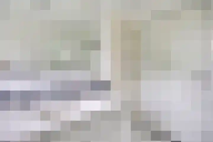 Kanarie 44 Boxmeer thumbnail 21