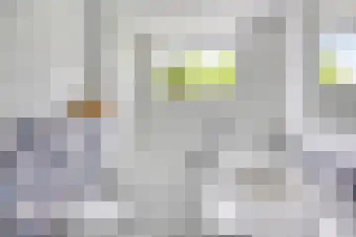 Kanarie 44 Boxmeer thumbnail 23