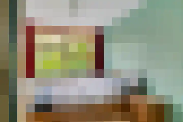 Kanarie 44 Boxmeer thumbnail 27