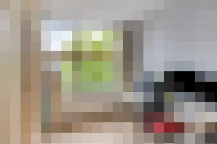 Kanarie 44 Boxmeer thumbnail 29