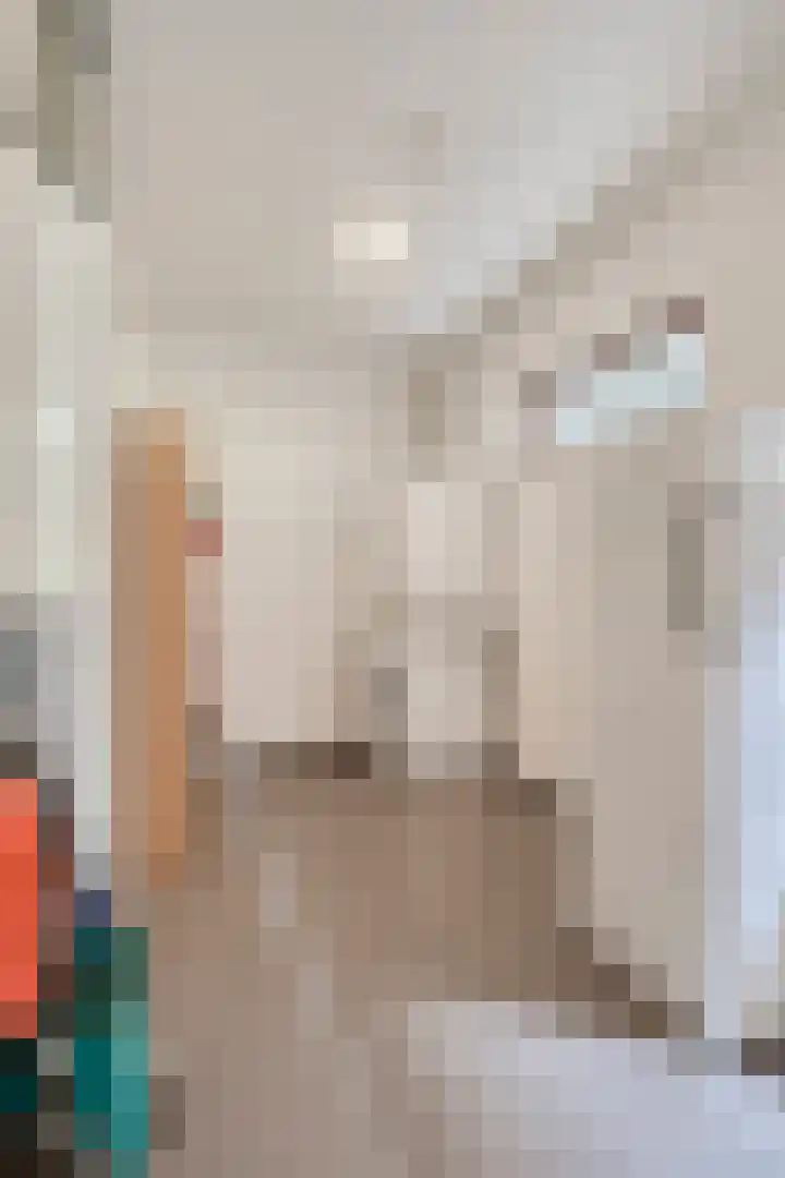 Kanarie 44 Boxmeer thumbnail 33