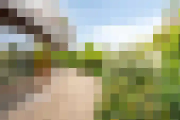 Kanarie 44 Boxmeer thumbnail 38