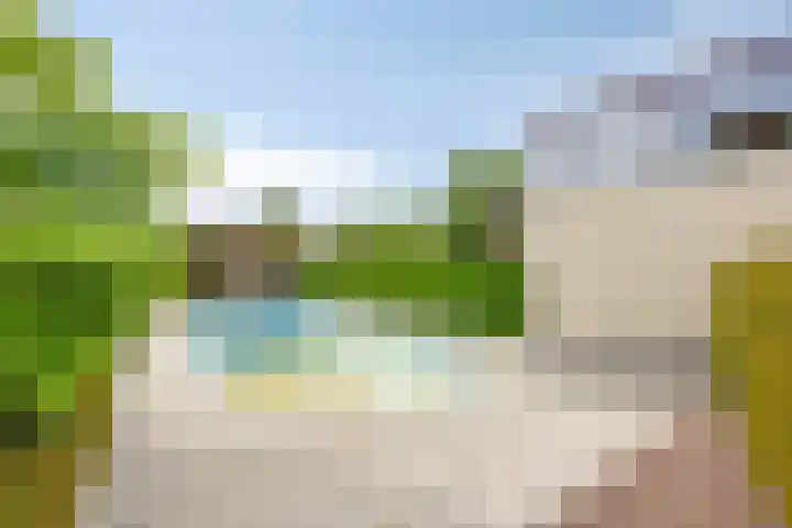 Kanarie 44 Boxmeer thumbnail 39