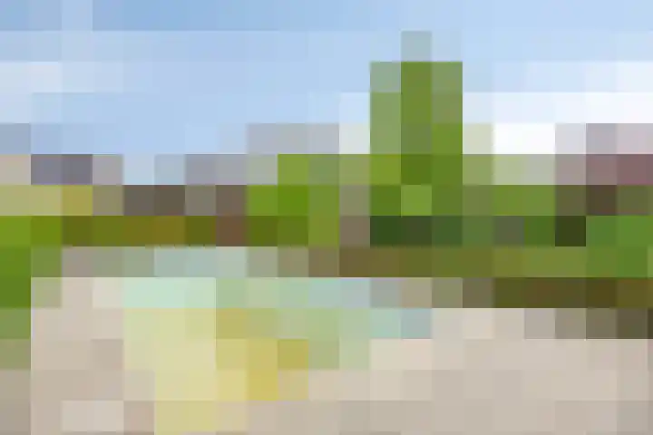 Kanarie 44 Boxmeer thumbnail 40