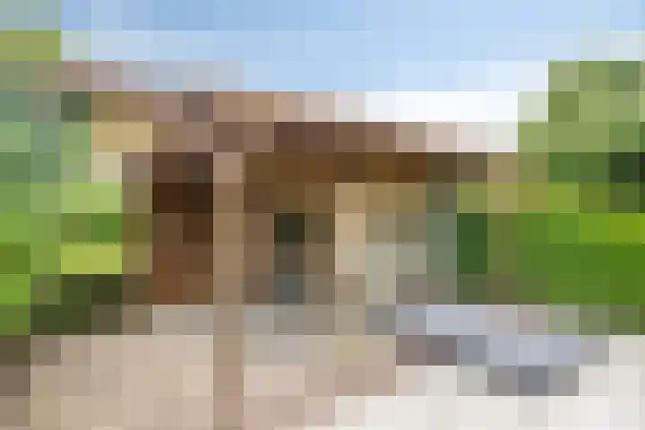 Kanarie 44 Boxmeer thumbnail 42