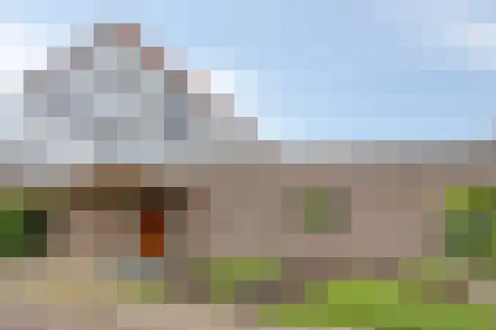Kanarie 44 Boxmeer thumbnail 64