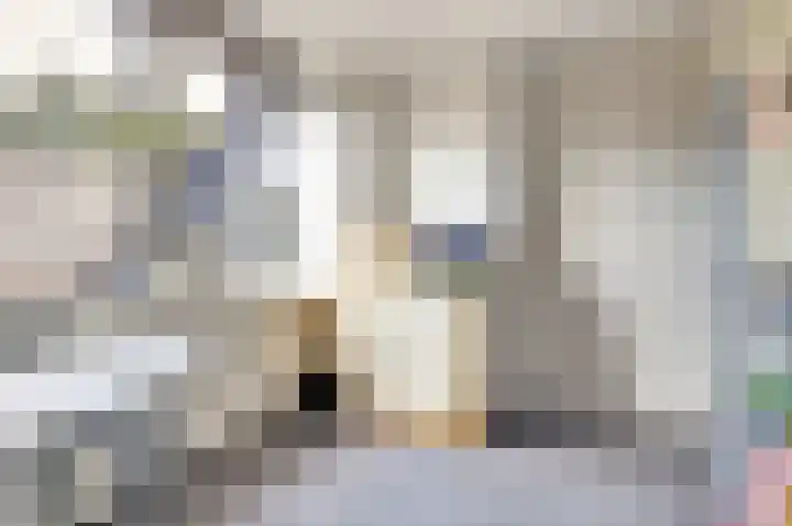Kanariehof 28 Ermelo thumbnail 20