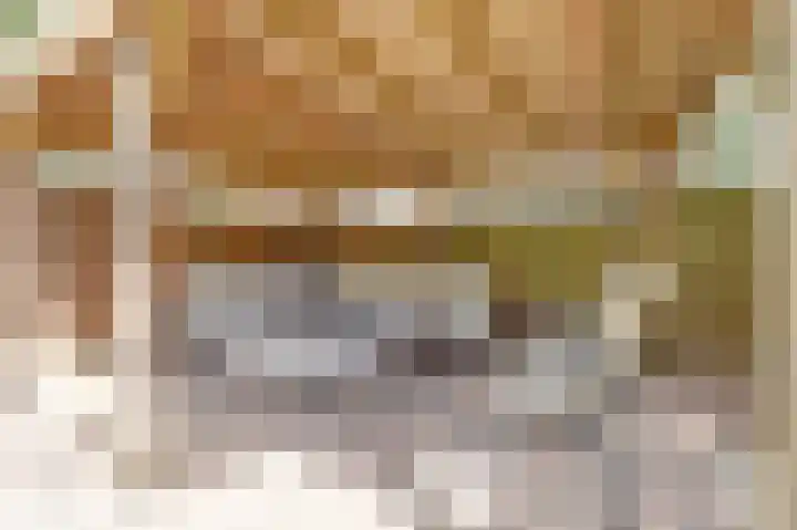 Kanariehof 28 Ermelo thumbnail 30