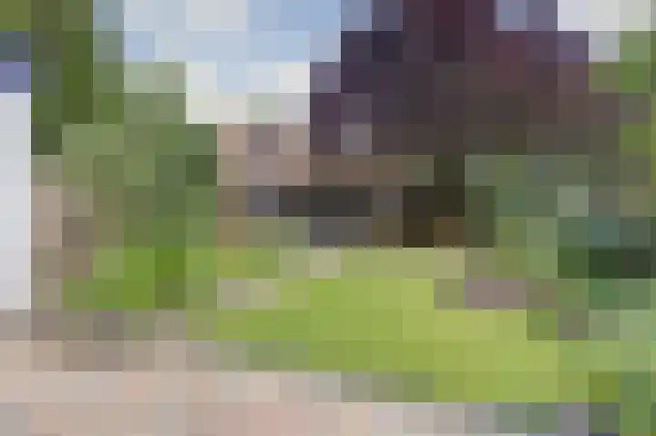 Kanariehof 28 Ermelo thumbnail 33