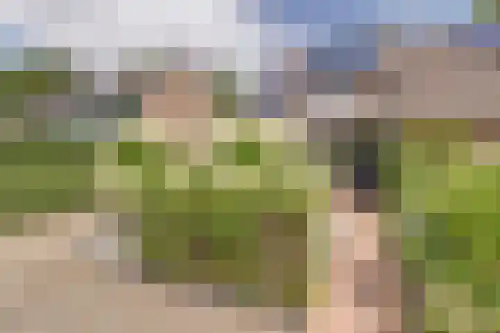 Kanariehof 28 Ermelo thumbnail 36