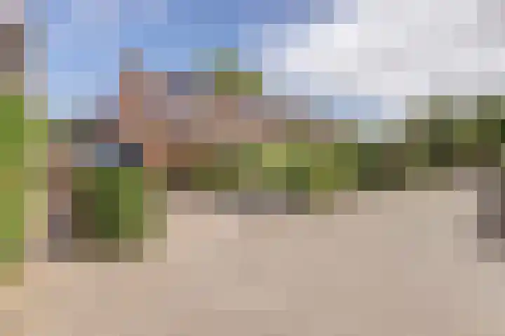 Kanariehof 28 Ermelo thumbnail 37