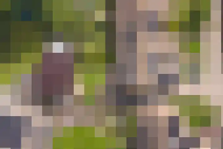 Kanariehof 28 Ermelo thumbnail 38