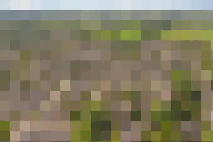 Kanariehof 28 Ermelo thumbnail 39