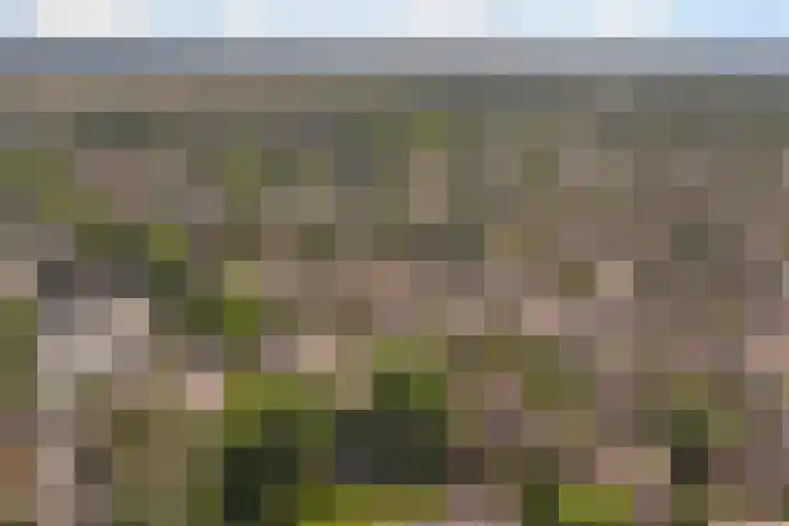 Kanariehof 28 Ermelo thumbnail 40