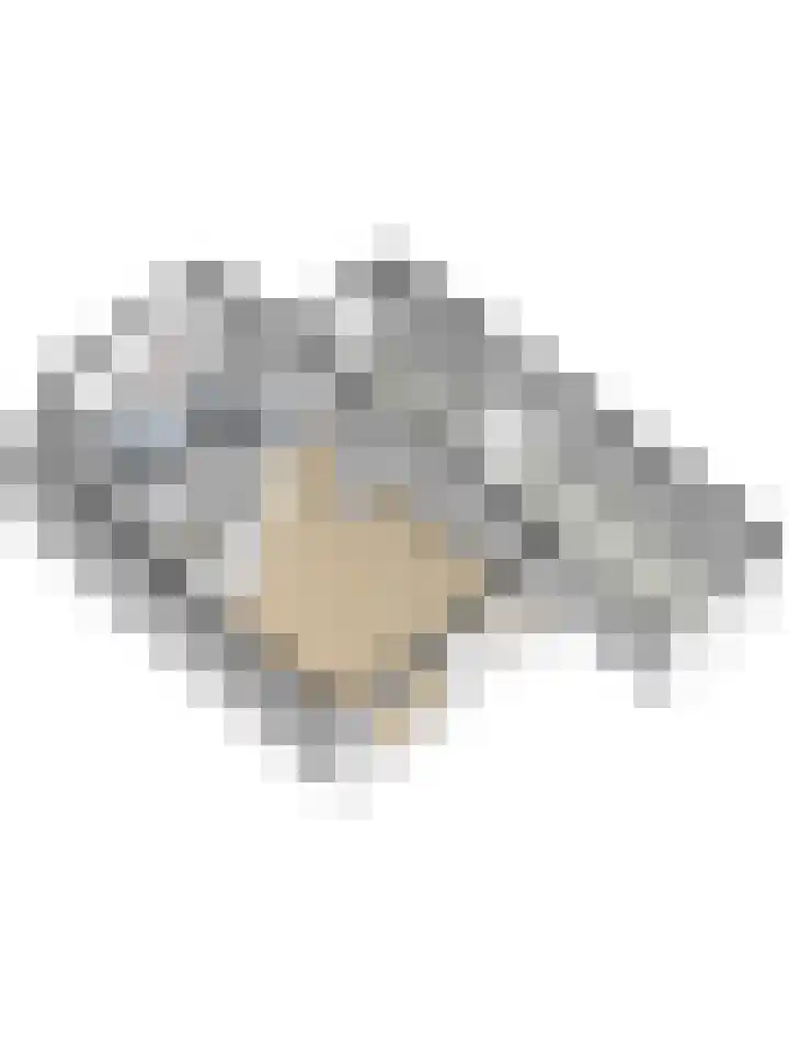 Kanariehof 28 Ermelo thumbnail 42