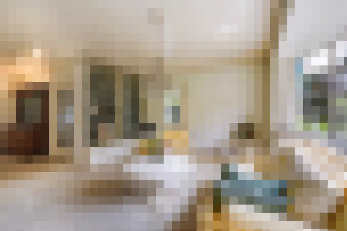 Kanarielaan 19 Den Haag thumbnail 10