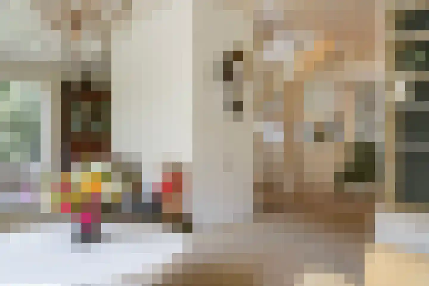 Kanarielaan 19 Den Haag thumbnail 11